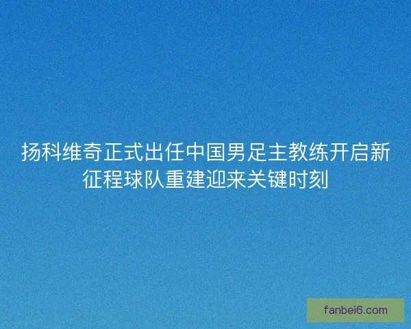 扬科维奇正式出任中国男足主教练开启新征程球队重建迎来关键时刻