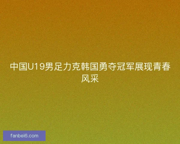 中国U19男足力克韩国勇夺冠军展现青春风采